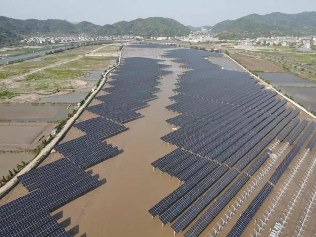 全國首座潮光互補光伏電站并網，年發電量超1億度