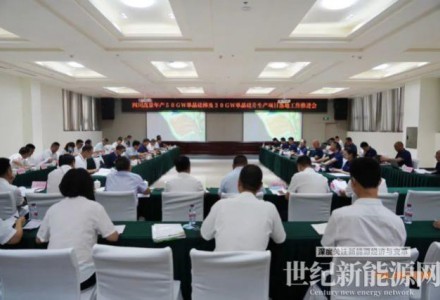 雷濤主持召開高景太陽能宜賓項目落地工作推進會
