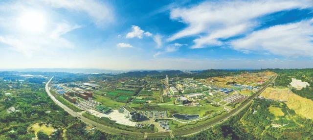 通威40年：持續引領發展的底層邏輯是什么？