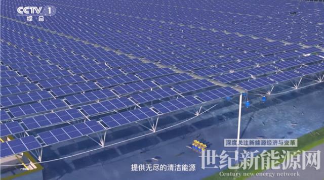 通威品牌價值1610.58億元！蟬聯全球水產和光伏兩大行業第一
