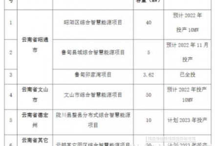 540.62MW！國家電投云南國際發布分布式光伏電站運行維護檢修服務招標