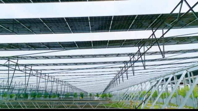 每小時發電2.3萬度！國內最大“污水光伏”項目并網發電