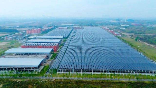 每小時發電2.3萬度！國內最大“污水光伏”項目并網發電