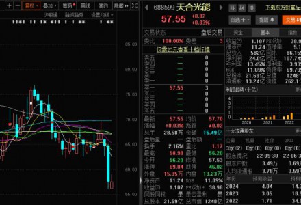 天合光能的閃崩有點“眼熟”