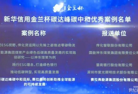 實(shí)至名歸！賽拉弗榮膺“新華信用金蘭杯”ESG優(yōu)秀案例獎(jiǎng)