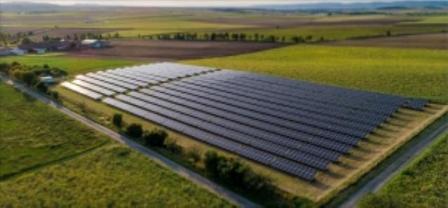 BNEF：暫停征組件關稅刺激進口！
