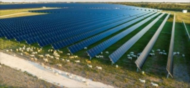 Lightsource bp和First Solar 簽署2026-2028年4GW組件供貨合同