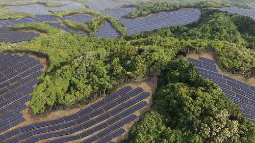 財政部：臨時占用林地將不再收取植被恢復費