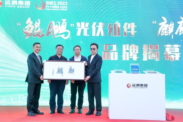 中國電力企業聯合會劉開俊、原大唐電力董事長陳進行蒞臨遠鵬“鯤鵬”“麒麟”新品發布會