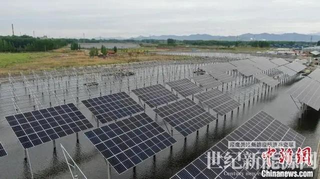 年發(fā)電量可達3億千瓦時 山西電建承建農(nóng)光互補光伏項目并網(wǎng)發(fā)電