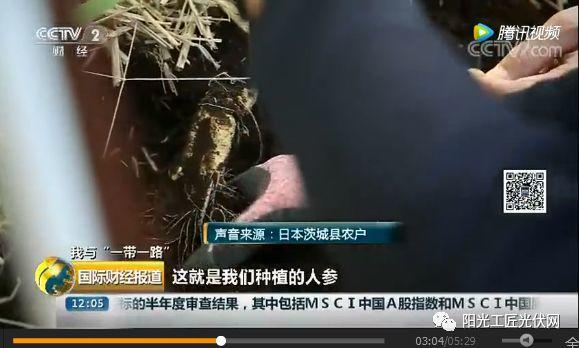 CCTV2《我與“一帶一路”》：30MW ，日本最大“農光互補”光伏電站中國造 ！當地農民增收10倍 ！