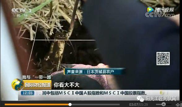 CCTV2《我與“一帶一路”》：30MW ，日本最大“農光互補”光伏電站中國造 ！當地農民增收10倍 ！