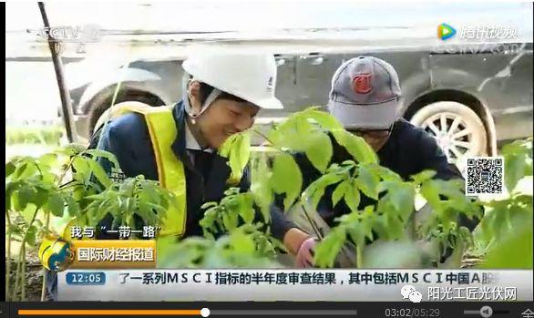 CCTV2《我與“一帶一路”》：30MW ，日本最大“農光互補”光伏電站中國造 ！當地農民增收10倍 ！