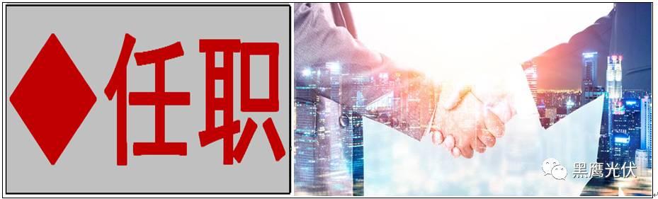 獨家重磅 | 35家光伏企業3年內高管入職+離職復盤：熙熙攘攘中你能看出什么？（涉及300人，值得收藏）