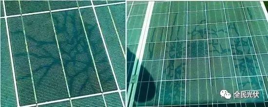 頂級珍藏！分布式光伏電站保險那些事