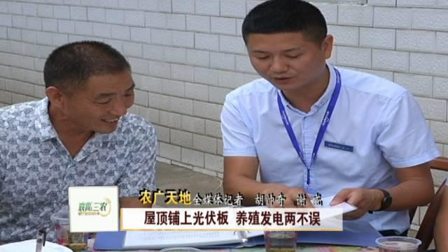 新奇特：光伏板下養(yǎng)孔雀！