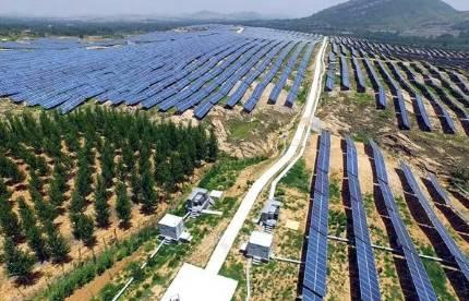 話題 | 想出租荒山搞光伏，是多少錢一畝？電站稅款咋交？