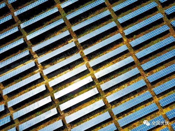 光伏行業回暖速度超預期 前三季度分布式光伏新增裝機爆發式增長