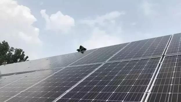 自家閑置屋頂變資源，太陽能光伏發電是如何讓老百姓獲益的？
