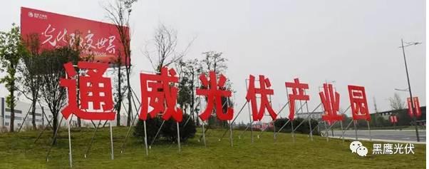 漢元發力，通威兇猛！
