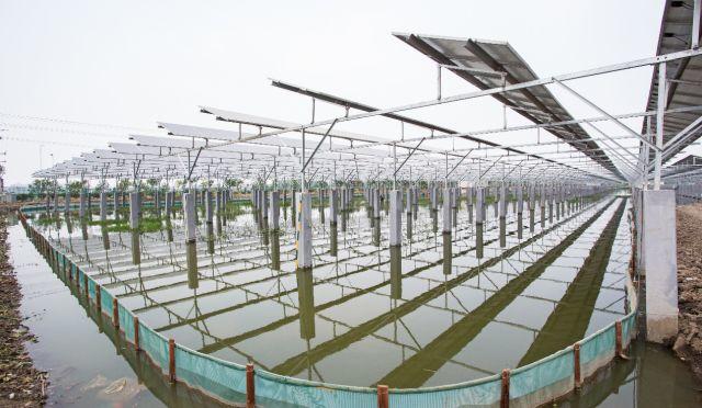 新興藍海下，看創新光伏農場模式如何助力精準脫貧？