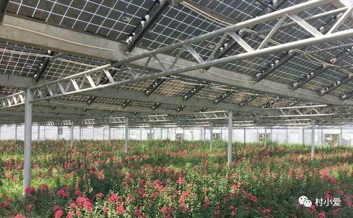 他在屋頂上建了個(gè)“光伏花圃”，上面發(fā)電，下面種花，愜意~