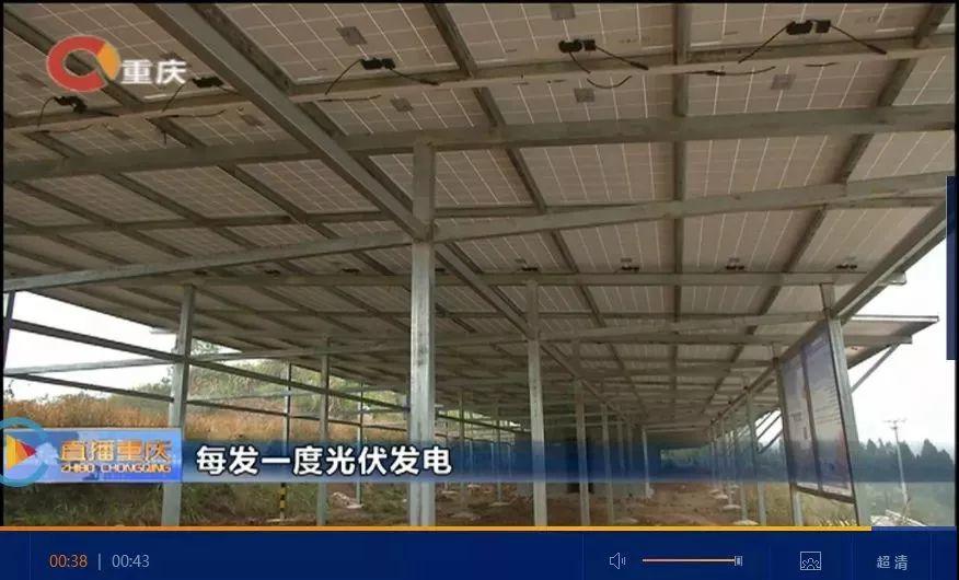 減排 | 我的光伏發電比你多一項補貼！每發一度電1.01元！