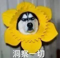 收益 | 這一年靠它賺了12000元！全國近60萬家庭享受這份收益！