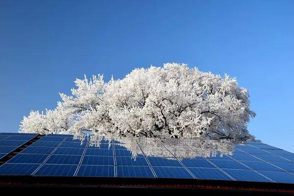三晶電氣歐陽家淦：戶用光伏發(fā)展超出預期，高效、智能產(chǎn)品成為新趨勢