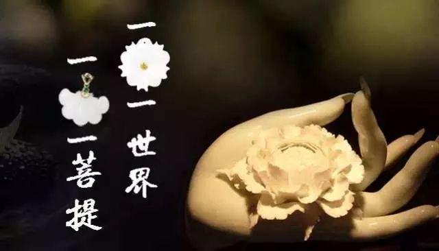 美文 | 一沙一世界，光伏創天堂