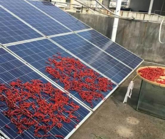 電站運行25年不是問題，這樣做不僅長壽，還發電量高！