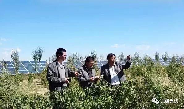 光伏原本可以賺錢的......慢慢的變成為人民服務(wù)了!